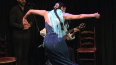 [ID: oURM-bD4G9U] Youtube Automatic