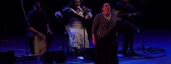 [ID: oXCwpLbsjx4] Youtube Automatic