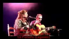 [ID: OXEEurigAfY] Youtube Automatic