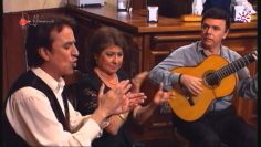 [ID: OYKw9smbM-o] Youtube Automatic