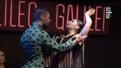 [ID: oYlotEIjMV0] Youtube Automatic