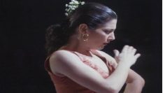 [ID: OytsAXG86N4] Youtube Automatic