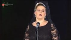 [ID: OzKMNeSvbls] Youtube Automatic