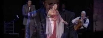 [ID: OZXd2NBUkXw] Youtube Automatic