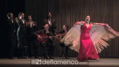 [ID: p1OGhecSzPE] Youtube Automatic