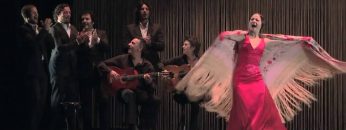 [ID: p1OGhecSzPE] Youtube Automatic