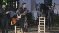 [ID: p5IGEwKC4P0] Youtube Automatic