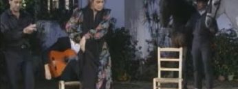 [ID: p5IGEwKC4P0] Youtube Automatic