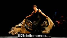 [ID: P6yDyZoTC38] Youtube Automatic