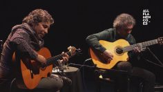 [ID: P7aGidNPbGs] Youtube Automatic