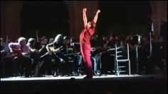 [ID: p88g7ax628s] Youtube Automatic