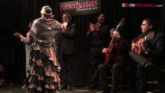 [ID: P8OBsLjjEJ4] Youtube Automatic