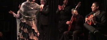 [ID: P8OBsLjjEJ4] Youtube Automatic