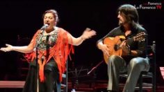 [ID: Pa9e48xxbA4] Youtube Automatic