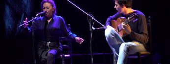 [ID: PAvedd14irk] Youtube Automatic