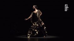 [ID: PAwUAzcbnuo] Youtube Automatic