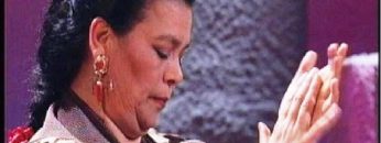 [ID: pb3hc_pqCWY] Youtube Automatic