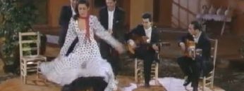 [ID: Pc7r5cxSNJk] Youtube Automatic