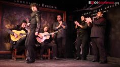 [ID: PeSfvs8i6t4] Youtube Automatic