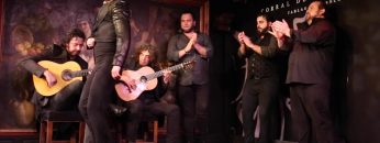 [ID: PeSfvs8i6t4] Youtube Automatic