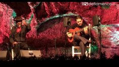 [ID: PgHJFbz9hVs] Youtube Automatic