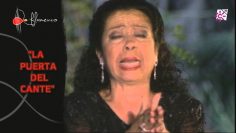 [ID: pgWOo6MiIl0] Youtube Automatic