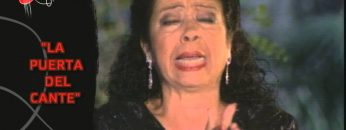 [ID: pgWOo6MiIl0] Youtube Automatic