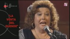 [ID: pjfN018U5Ng] Youtube Automatic