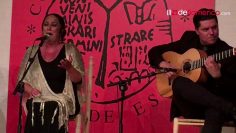 [ID: pk84MVXvIDs] Youtube Automatic