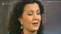 [ID: plF0jQGYgaY] Youtube Automatic