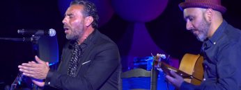 [ID: pNCeK_kjt8g] Youtube Automatic