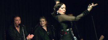 [ID: pNqOXoF-lrw] Youtube Automatic