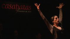 [ID: pO85acR2Dps] Youtube Automatic