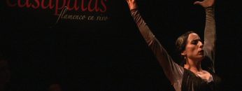 [ID: pO85acR2Dps] Youtube Automatic