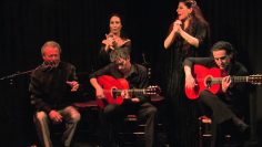 [ID: pOBNKIwMIF0] Youtube Automatic