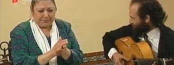 [ID: Pr-LW1cW21c] Youtube Automatic