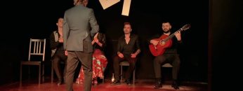 [ID: pt8wn8SDsr8] Youtube Automatic