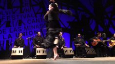 [ID: pY37ipwd4lI] Youtube Automatic