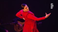 [ID: PyKA7pnKOvI] Youtube Automatic