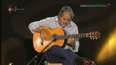 [ID: pz50ZC1C1A8] Youtube Automatic