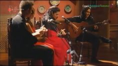 [ID: PZJfvy8LwA8] Youtube Automatic