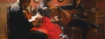 [ID: PZJfvy8LwA8] Youtube Automatic