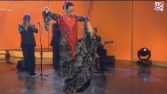 [ID: pzVISFDT3mQ] Youtube Automatic