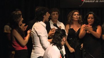 [ID: q-edgYtP8dE] Youtube Automatic