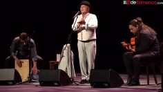 [ID: Q05TqdWGYBE] Youtube Automatic