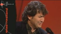 [ID: Q0D8JjdNKCE] Youtube Automatic