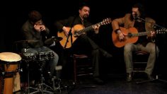 [ID: q1v-l9ekggk] Youtube Automatic