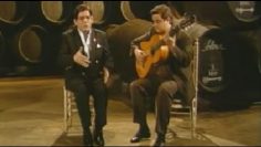 [ID: Q222MZdxcM8] Youtube Automatic