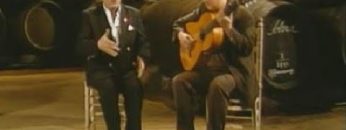 [ID: Q222MZdxcM8] Youtube Automatic