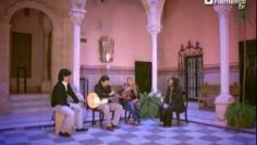 [ID: qaOwvSk3OBQ] Youtube Automatic